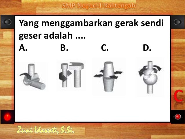 Sistem Gerak Manusia 79407488