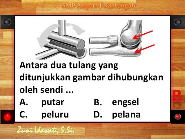 Sistem Gerak Manusia 79407488