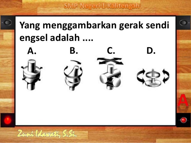 Sistem Gerak Manusia 79407488