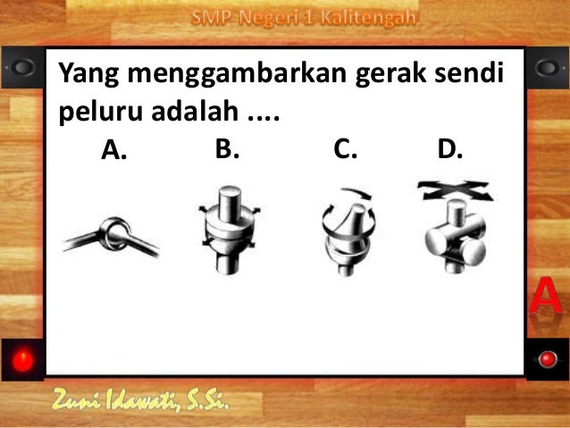 Sistem Gerak Manusia 79407488