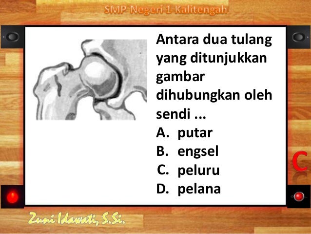 Sistem Gerak Manusia 79407488