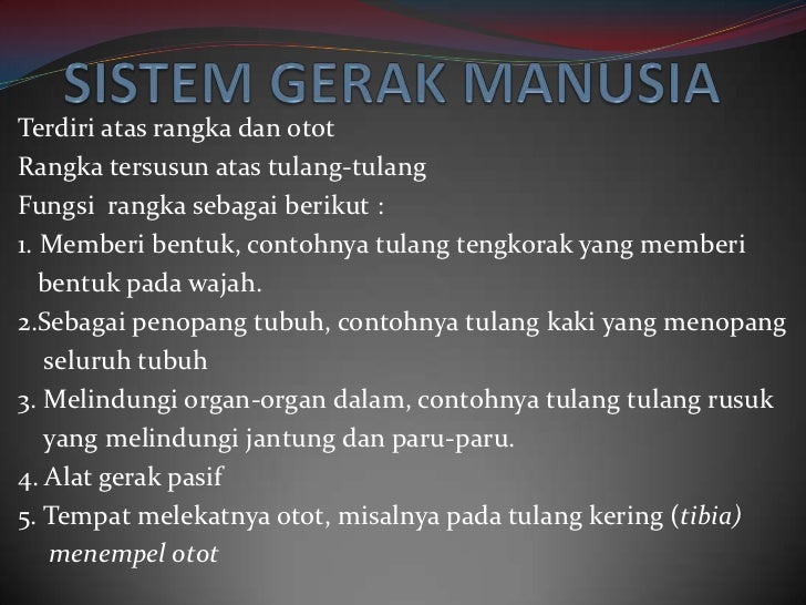 Sistem Gerak Pada Manusia