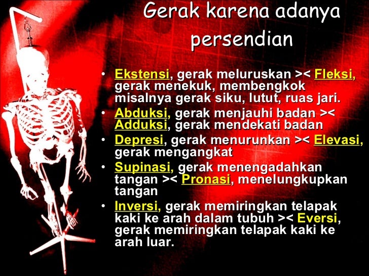 Sistem gerak pada manusia