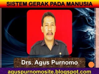 SISTEM GERAK PADA MANUSIA




    Drs. Agus Purnomo
aguspurnomosite.blogspot.com
 