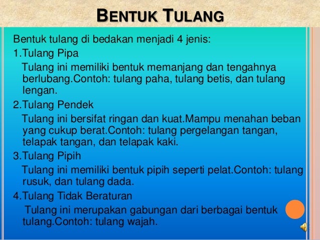 Sistem Gerak Pada Manusia