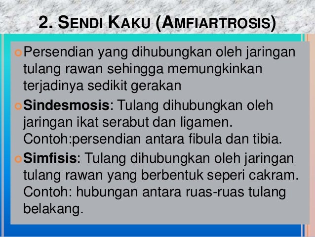 Sistem Gerak Pada Manusia