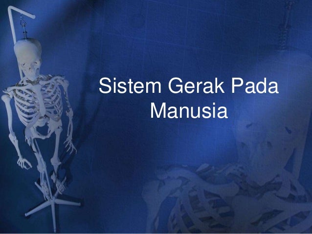 Sistem Gerak Pada Manusia Sistem Gerak Pada Manusia