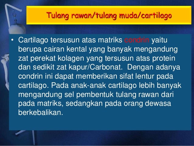 Sistem Gerak Pada Manusia