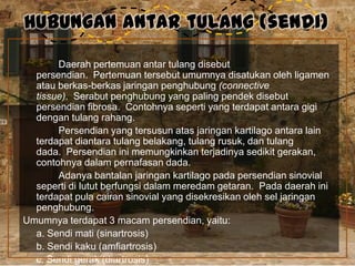 Hubungan antar tulang (sendi)
Daerah pertemuan antar tulang disebut
persendian. Pertemuan tersebut umumnya disatukan oleh ligamen
atau berkas-berkas jaringan penghubung (connective
tissue). Serabut penghubung yang paling pendek disebut
persendian fibrosa. Contohnya seperti yang terdapat antara gigi
dengan tulang rahang.
Persendian yang tersusun atas jaringan kartilago antara lain
terdapat diantara tulang belakang, tulang rusuk, dan tulang
dada. Persendian ini memungkinkan terjadinya sedikit gerakan,
contohnya dalam pernafasan dada.
Adanya bantalan jaringan kartilago pada persendian sinovial
seperti di lutut berfungsi dalam meredam getaran. Pada daerah ini
terdapat pula cairan sinovial yang disekresikan oleh sel jaringan
penghubung.
Umumnya terdapat 3 macam persendian, yaitu:
a. Sendi mati (sinartrosis)
b. Sendi kaku (amfiartrosis)
c. Sendi gerak (diartrosis)

 