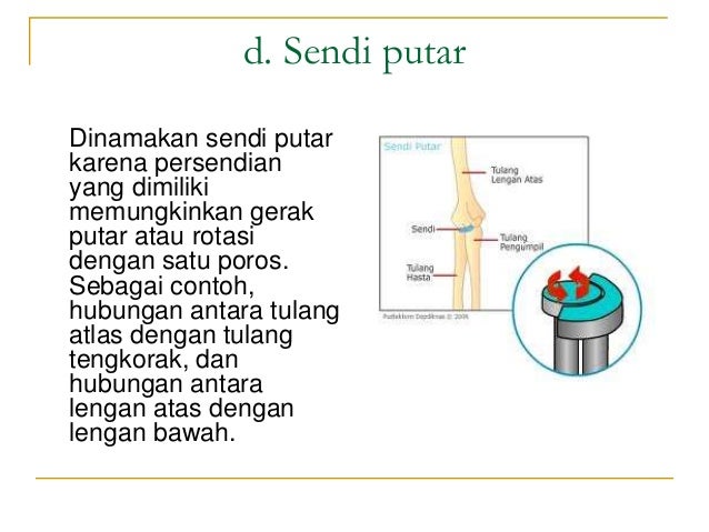 Sistem Gerak Pada Manusia