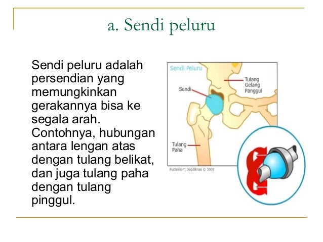 Sistem Gerak Manusia - Biologi