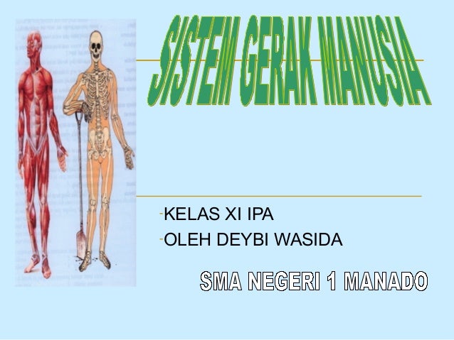 Sistem Gerak Pada Manusia Kelas Xi Ipa