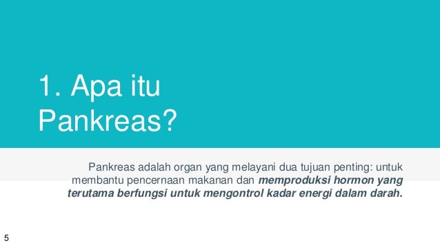 Sistem Hormon pada Manusia