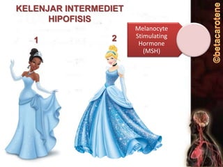 KELENJAR INTERMEDIET
HIPOFISIS
1

2

Melanocyte
Stimulating
Hormone
(MSH)

 