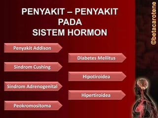 PENYAKIT – PENYAKIT
PADA
SISTEM HORMON
Penyakit Addison
Diabetes Mellitus
Sindrom Cushing
Hipotiroidea

Sindrom Adrenogenital
Hipertiroidea
Peokromositoma

 
