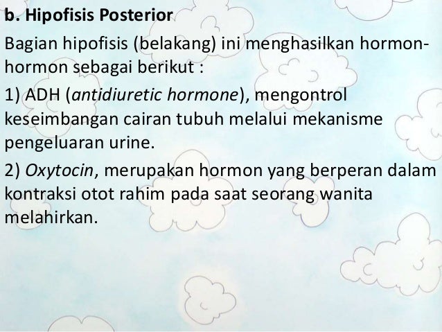 Sistem hormon pada manusia