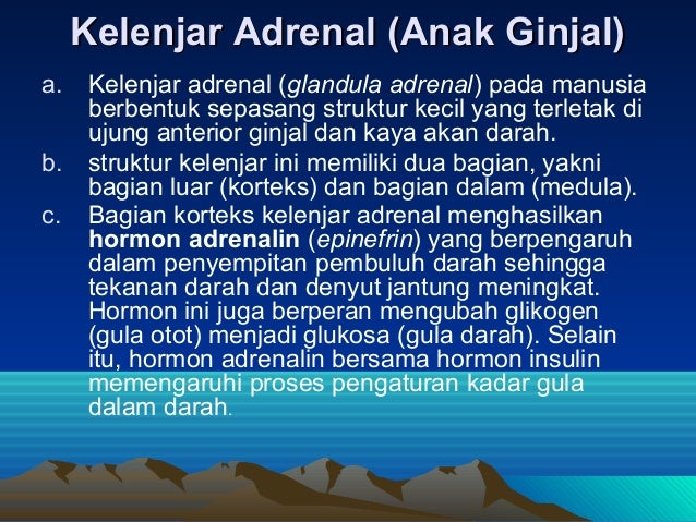 Tekanan Darah Normal Manusia Dewasa - Soalan af