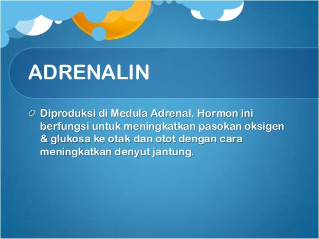 Sistem Hormon Biopsikologi