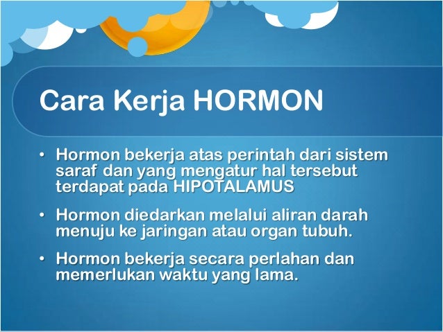 Sistem hormon biopsikologi