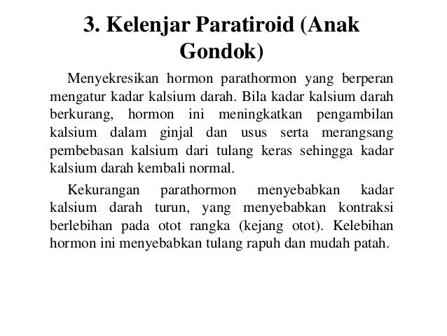 Sistem hormon manusia