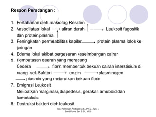 Respon Peradangan :

1. Pertahanan oleh makrofag Residen
2. Vasodilatasi lokal       aliran darah         Leukosit fagositik
   dan protein plasma
3. Peningkatan permeabilitas kapiler        protein plasma lolos ke
   jaringan
4. Edema lokal akibat pergeseran keseimbangan cairan
5. Pembatasan daerah yang meradang
   Cedera             fibrin membentuk bekuan cairan interstisium di
   ruang sel. Bakteri            enzim       plasminogen
         plasmin yang melarutkan bekuan fibrin.
7. Emigrasi Leukosit
   Melibatkan marginasi, diapedesis, gerakan amuboid dan
   kemotaksis
8. Destruksi bakteri oleh leukosit
                        Dra. Retnosari Andrajati M.S., Ph.D., Apt. &
                               Santi Purna Sari S.Si., M.Si
 