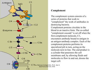 Complement

                             The complement system consists of a
                             series of proteins that work to
                             "complement" the work of antibodies in
                             destroying bacteria.
                             Complement proteins circulate in the
                             blood in an inactive form. The so-called
                             "complement cascade" is set off when the
                             first complement molecule, C1,
                             encounters antibody bound to antigen in
                             an antigen-antibody complex. Each of the
                             complement proteins performs its
                             specialized job in turn, acting on the
                             molecule next in line. The end product is
                             a cylinder that punctures the cell
                             membrane and, by allowing fluids and
                             molecules to flow in and out, dooms the
                             target cell.
Dra. Retnosari Andrajati M.S., Ph.D., Apt. &
       Santi Purna Sari S.Si., M.Si
 