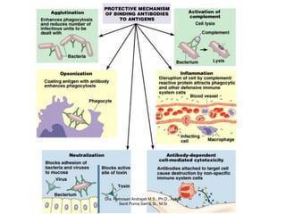 Dra. Retnosari Andrajati M.S., Ph.D., Apt. &
       Santi Purna Sari S.Si., M.Si
 