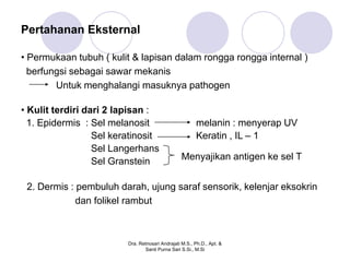 Pertahanan Eksternal

• Permukaan tubuh ( kulit & lapisan dalam rongga rongga internal )
  berfungsi sebagai sawar mekanis
        Untuk menghalangi masuknya pathogen

• Kulit terdiri dari 2 lapisan :
  1. Epidermis : Sel melanosit                          melanin : menyerap UV
                  Sel keratinosit                       Keratin , IL – 1
                  Sel Langerhans
                  Sel Granstein                   Menyajikan antigen ke sel T


 2. Dermis : pembuluh darah, ujung saraf sensorik, kelenjar eksokrin
             dan folikel rambut



                         Dra. Retnosari Andrajati M.S., Ph.D., Apt. &
                                Santi Purna Sari S.Si., M.Si
 