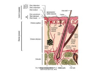 Dra. Retnosari Andrajati M.S., Ph.D., Apt. &
       Santi Purna Sari S.Si., M.Si
 