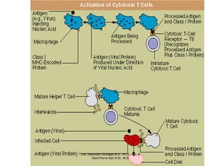 Dra. Retnosari Andrajati M.S., Ph.D., Apt. &
       Santi Purna Sari S.Si., M.Si
 