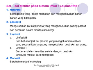 Sel – sel efektor pada sistem imun : Leukosit ttd :
1. Neutrofil
  Sel fagositik yang dapat memakan dan menghancurkan bahan
  bahan yang tidak perlu
2. Eosinofil
  Mengeluarkan zat zat kimiawi yang menghancurkan cacing parasit
  dan berperan dalam manifestasi alergi
3. Limfosit
   a. Limfosit B
       Berubah menjadi sel plasma yang mengeluarkan antibodi
       yang secara tidak langsung menyebabkan destruksi zat asing.
   b. Limfosit T
       Berperan dalam imunitas selular dengan destruksi
       langsung melalui cara nonfagosit
4. Monosit
   Berubah menjadi makrofag
                      Dra. Retnosari Andrajati M.S., Ph.D., Apt. &
                             Santi Purna Sari S.Si., M.Si
 