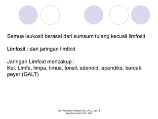 Semua leukosit berasal dari sumsum tulang kecuali limfosit

Limfosit : dari jaringan limfoid

Jaringan Limfoid mencakup :
Kel. Limfe, limpa, timus, tonsil, adenoid, apendiks, bercak
peyer (GALT)




                       Dra. Retnosari Andrajati M.S., Ph.D., Apt. &
                              Santi Purna Sari S.Si., M.Si
 
