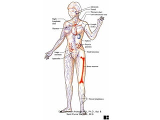 Dra. Retnosari Andrajati M.S., Ph.D., Apt. &
       Santi Purna Sari S.Si., M.Si
 