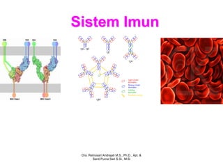 Sistem Imun




 Dra. Retnosari Andrajati M.S., Ph.D., Apt. &
        Santi Purna Sari S.Si., M.Si
 