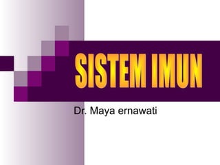 Dr. Maya ernawati
 