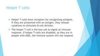 Helper T cells
 Helper T-cells have receptors for recognizing antigens.
If they are presented with an antigen, they release
cytokines to stimulate B-cell division.
 The helper T-cell is the key cell to signal an immune
response. If helper T-cells are disabled, as they are in
people with AIDS, the immune system will not respond.
 