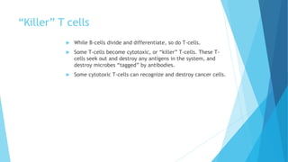 “Killer” T cells
 While B-cells divide and differentiate, so do T-cells.
 Some T-cells become cytotoxic, or “killer” T-cells. These T-
cells seek out and destroy any antigens in the system, and
destroy microbes “tagged” by antibodies.
 Some cytotoxic T-cells can recognize and destroy cancer cells.
 