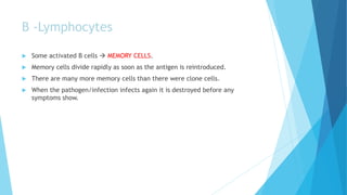 B -Lymphocytes
 Some activated B cells  MEMORY CELLS.
 Memory cells divide rapidly as soon as the antigen is reintroduced.
 There are many more memory cells than there were clone cells.
 When the pathogen/infection infects again it is destroyed before any
symptoms show.
 