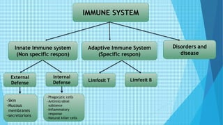 IMMUNE SYSTEM
Adaptive Immune System
(Specific respon)
Innate Immune system
(Non specific respon)
Disorders and
disease
External
Defense
Internal
Defense
-Skin
-Mucous
membranes
-secretorions
-Phagocytic cells
-Antimicrobial
subtance
-Inflammatory
response
-Natural killer cells
Limfosit T Limfosit B
 