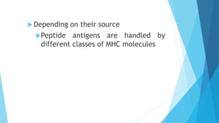  Depending on their source
Peptide antigens are handled by
different classes of MHC molecules
 