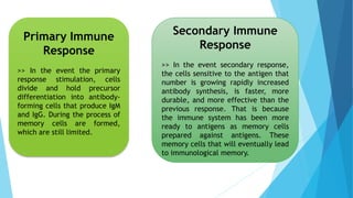 Primary Immune
Response
>> In the event the primary
response stimulation, cells
divide and hold precursor
differentiation into antibody-
forming cells that produce IgM
and IgG. During the process of
memory cells are formed,
which are still limited.
Secondary Immune
Response
>> In the event secondary response,
the cells sensitive to the antigen that
number is growing rapidly increased
antibody synthesis, is faster, more
durable, and more effective than the
previous response. That is because
the immune system has been more
ready to antigens as memory cells
prepared against antigens. These
memory cells that will eventually lead
to immunological memory.
 