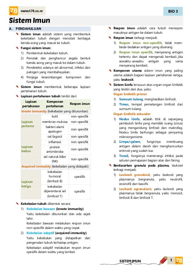 Pengaruh Diagram Roundhouse Terhadap Kreativitas Siswa