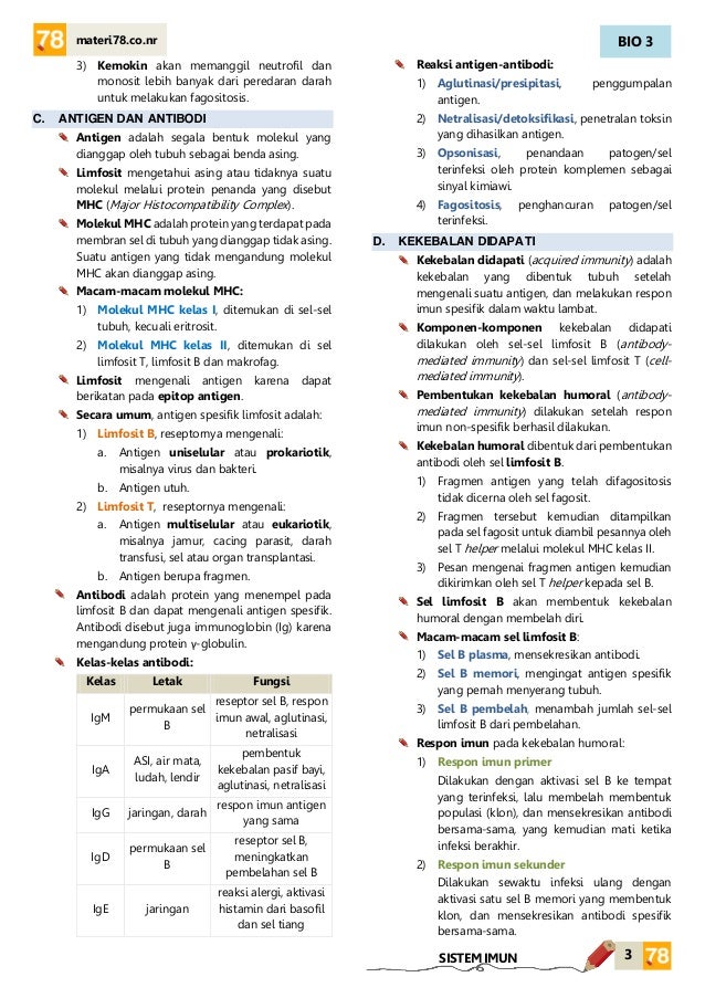 Materi Sistem Imun Kelas Xii Sma