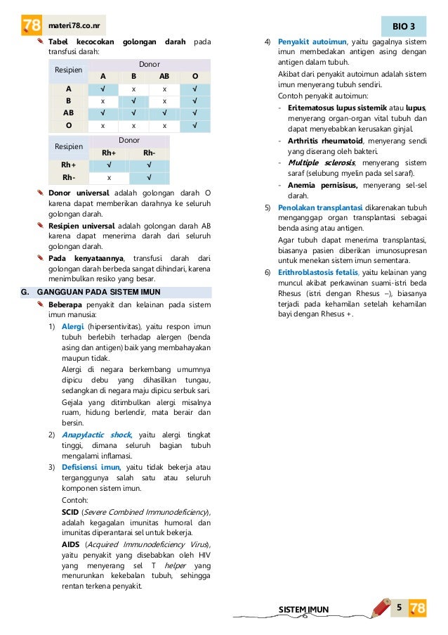 Materi Job Interview Kelas 12 Ppt Jejak Belajar