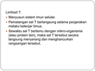 Limfosit T:
 Menyusun sistem imun selular.
 Pematangan sel T berlangsung selama pergerakan
  melalui kelenjar timus.
 Sewaktu sel T bertemu dengan mikro-organisme
  (atau protein lain), maka sel T tersebut secara
  langsung menyerang dan menghancurkan
  rangsangan tersebut.
 