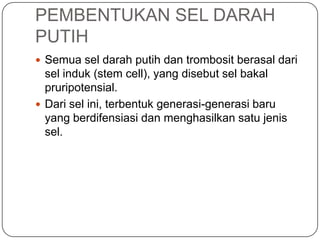 PEMBENTUKAN SEL DARAH
PUTIH
 Semua sel darah putih dan trombosit berasal dari
  sel induk (stem cell), yang disebut sel bakal
  pruripotensial.
 Dari sel ini, terbentuk generasi-generasi baru
  yang berdifensiasi dan menghasilkan satu jenis
  sel.
 