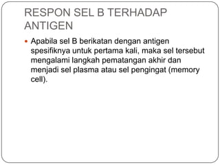 RESPON SEL B TERHADAP
ANTIGEN
 Apabila sel B berikatan dengan antigen
 spesifiknya untuk pertama kali, maka sel tersebut
 mengalami langkah pematangan akhir dan
 menjadi sel plasma atau sel pengingat (memory
 cell).
 