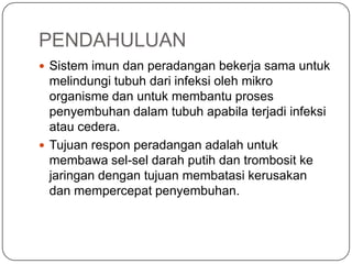 PENDAHULUAN
 Sistem imun dan peradangan bekerja sama untuk
  melindungi tubuh dari infeksi oleh mikro
  organisme dan untuk membantu proses
  penyembuhan dalam tubuh apabila terjadi infeksi
  atau cedera.
 Tujuan respon peradangan adalah untuk
  membawa sel-sel darah putih dan trombosit ke
  jaringan dengan tujuan membatasi kerusakan
  dan mempercepat penyembuhan.
 
