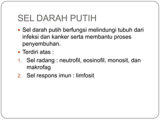 SEL DARAH PUTIH
 Sel darah putih berfungsi melindungi tubuh dari
  infeksi dan kanker serta membantu proses
  penyembuhan.
 Terdiri atas :
1. Sel radang : neutrofil, eosinofil, monosit, dan
    makrofag
2. Sel respons imun : limfosit
 