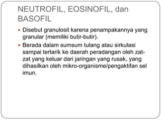 NEUTROFIL, EOSINOFIL, dan
BASOFIL
 Disebut granulosit karena penampakannya yang
  granular (memiliki butir-butir).
 Berada dalam sumsum tulang atau sirkulasi
  sampai tertarik ke daerah peradangan oleh zat-
  zat yang keluar dari jaringan yang rusak, yang
  dihasilkan oleh mikro-organisme/pengaktifan sel
  imun.
 
